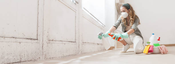  Lexington, KY Mold Inspection, Removal & Remediation Pros